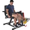 Leg Extension and Curl Machine