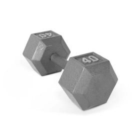 Multi-weight cast iron hexagonal dumbbell, single bar (size: 40lbs)